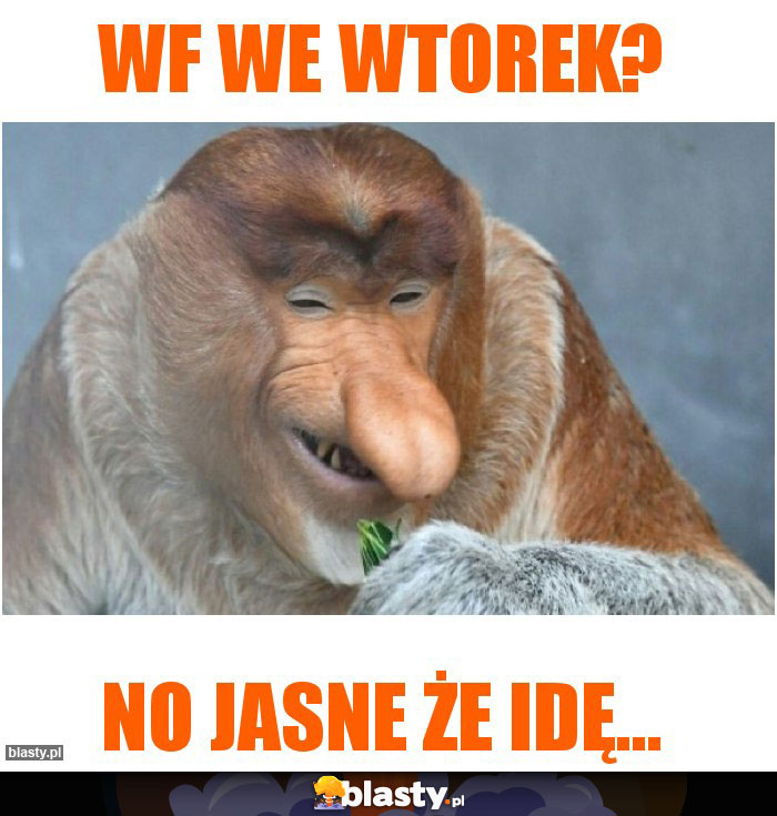 WF we wtorek?