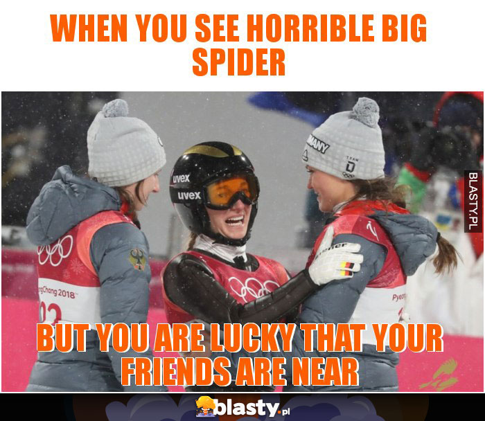 When you see horrible big spider