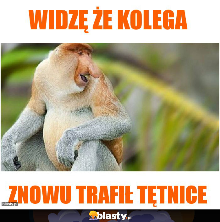 Widzę że kolega