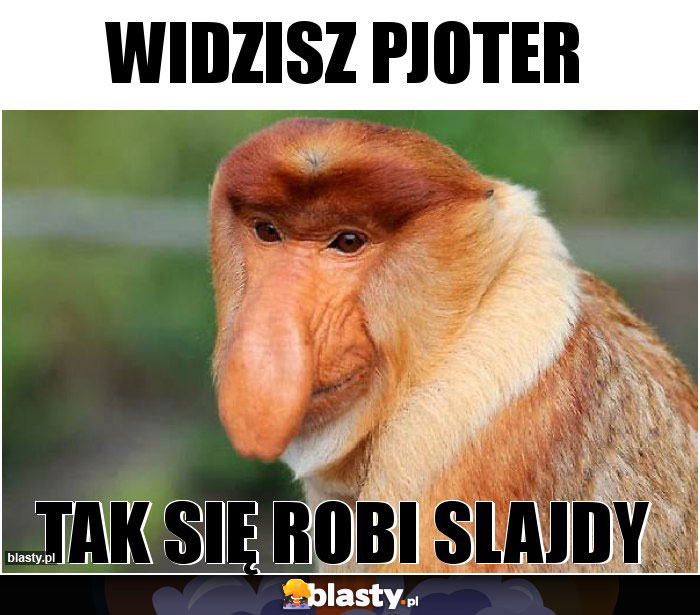 Widzisz Pjoter