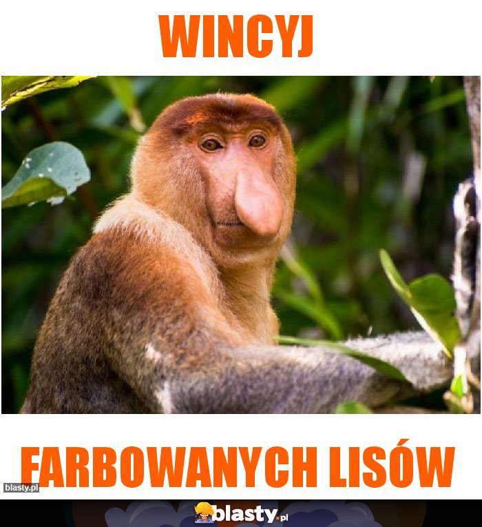 Wincyj