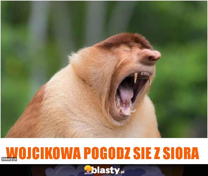 Wojcikowa pogodz sie z siora