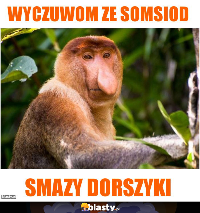 wyczuwom ze somsiod