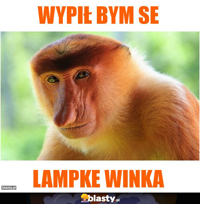 Wypił bym se