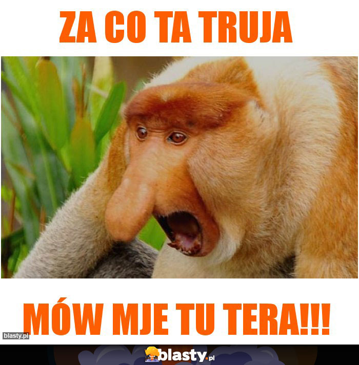 Za co ta truja