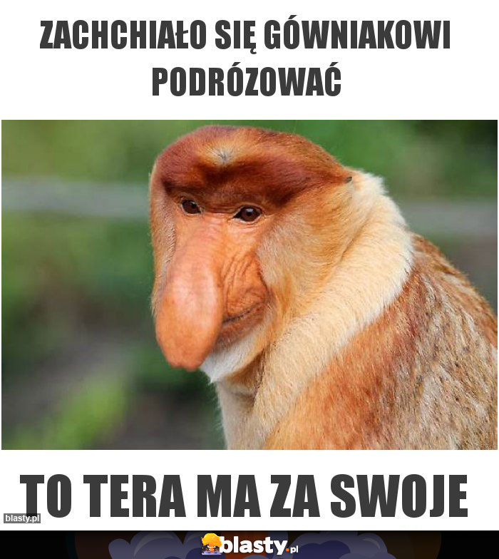 Zachchiało się gówniakowi podrózować