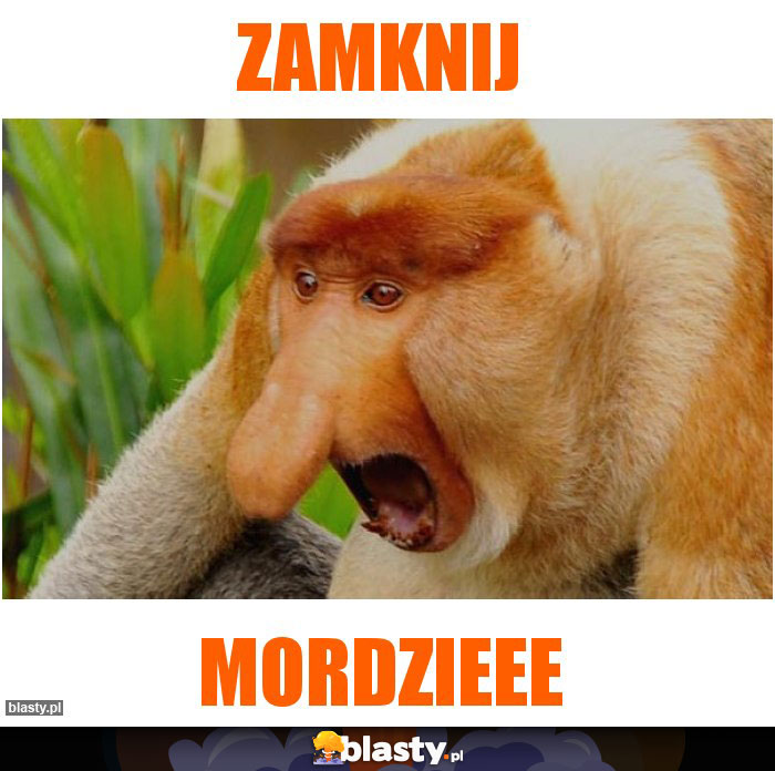 zamknij