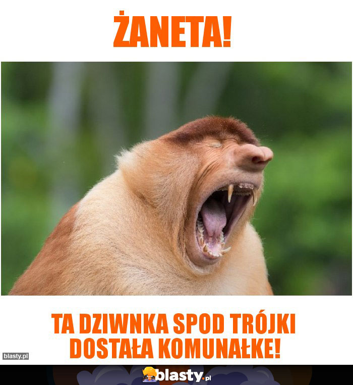 Żaneta!