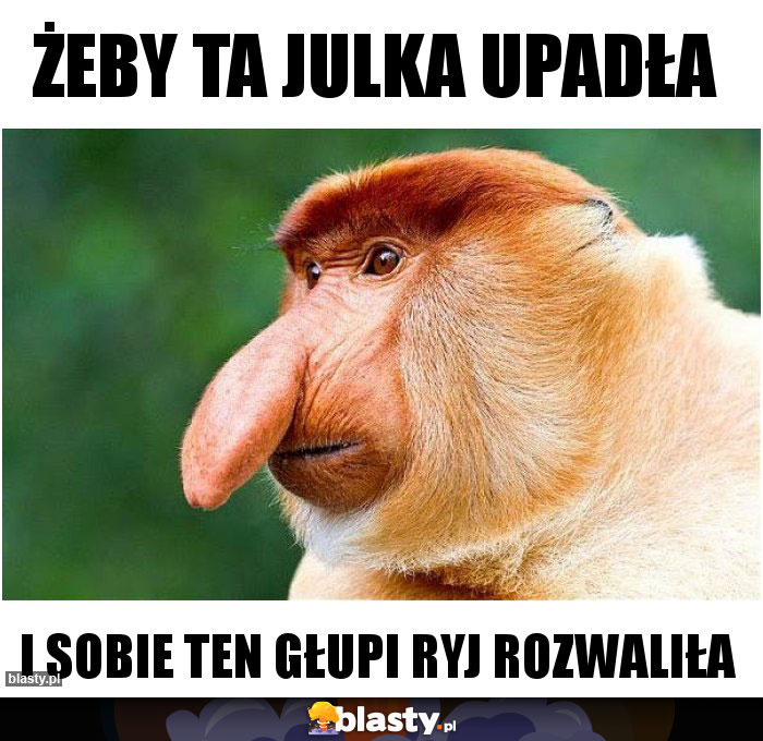 Żeby ta Julka upadła