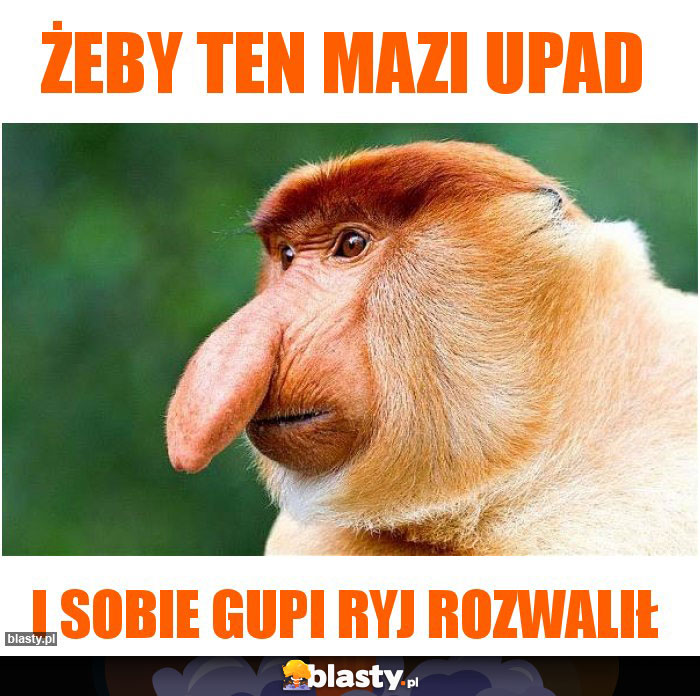 żeby ten mazi upad