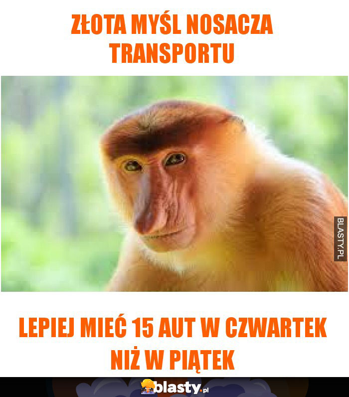 złota myśl nosacza transportu