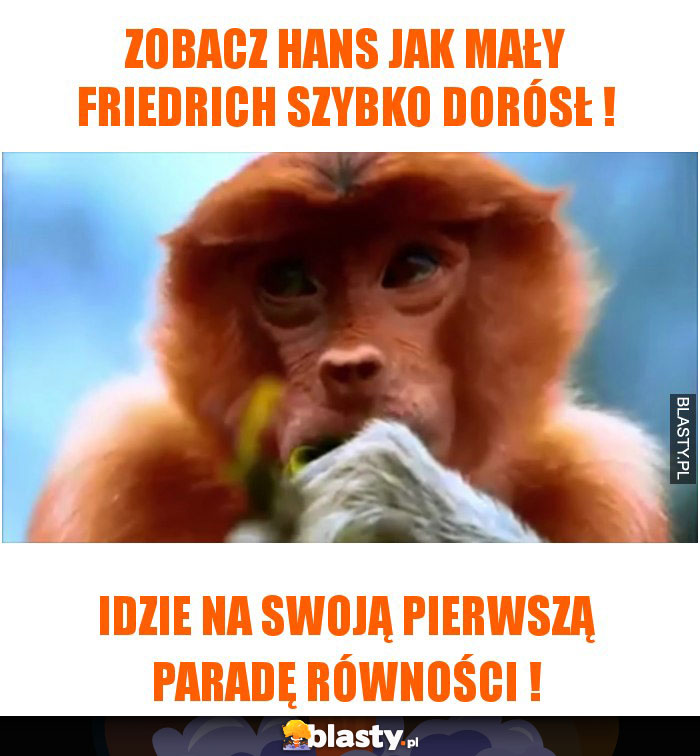 Zobacz Hans jak mały Friedrich szybko dorósł !