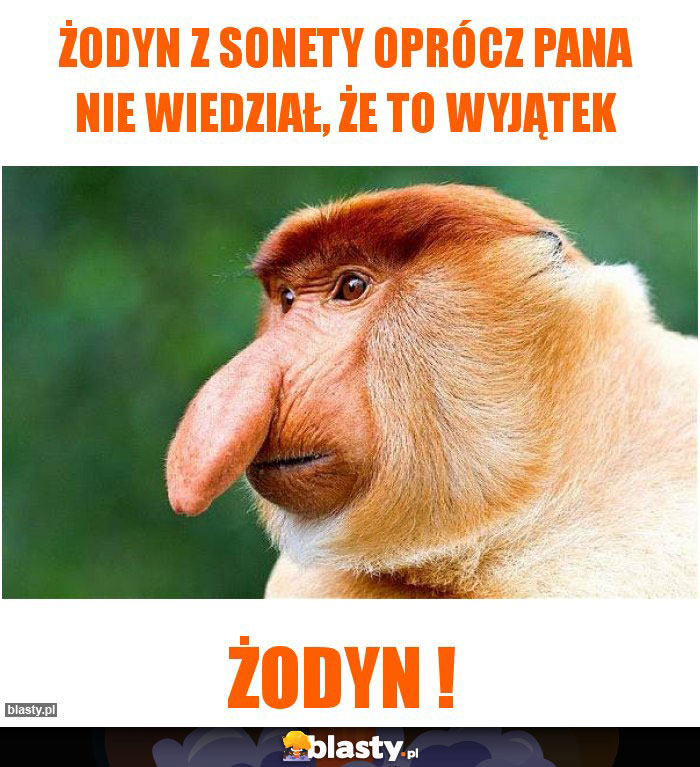 Żodyn z Sonety oprócz Pana nie wiedział, że to wyjątek