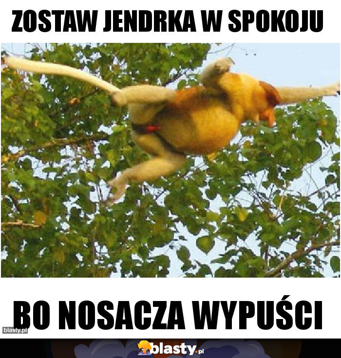 Zostaw jendrka w spokoju