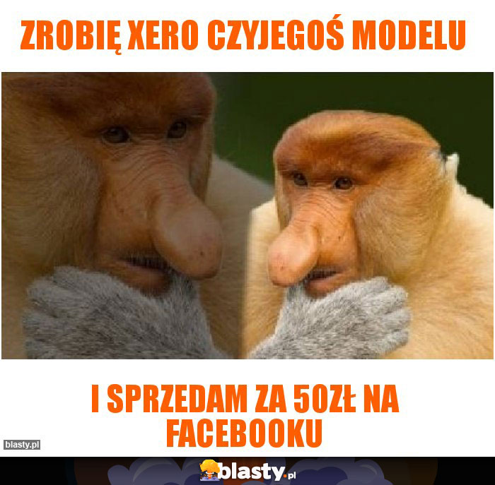 Zrobię xero czyjegoś modelu