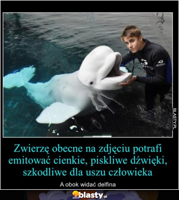 Zwierzę obecne na zdjęciu potrafi...