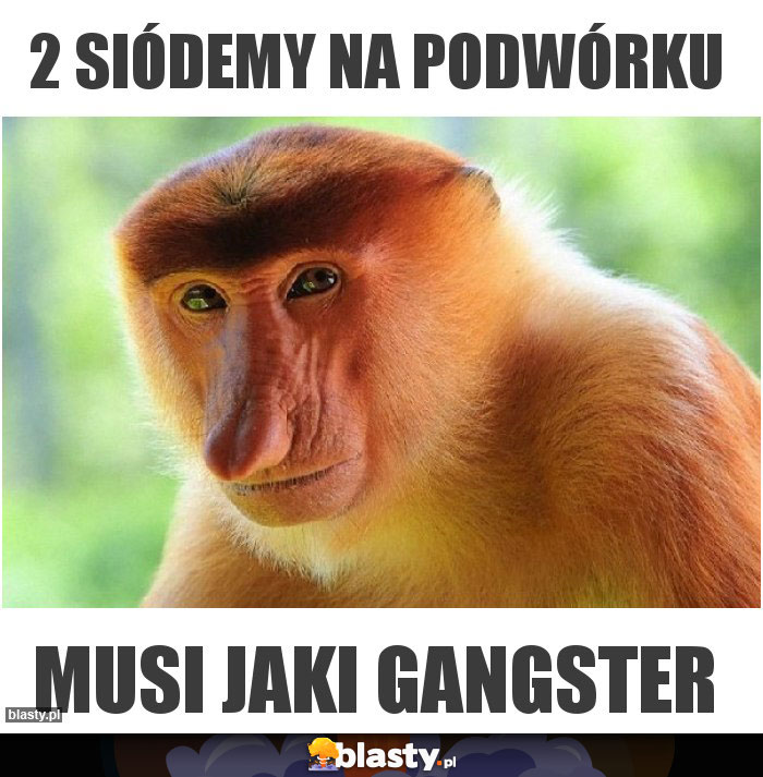 2 siódemy na podwórku