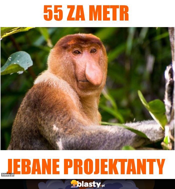 55 za metr