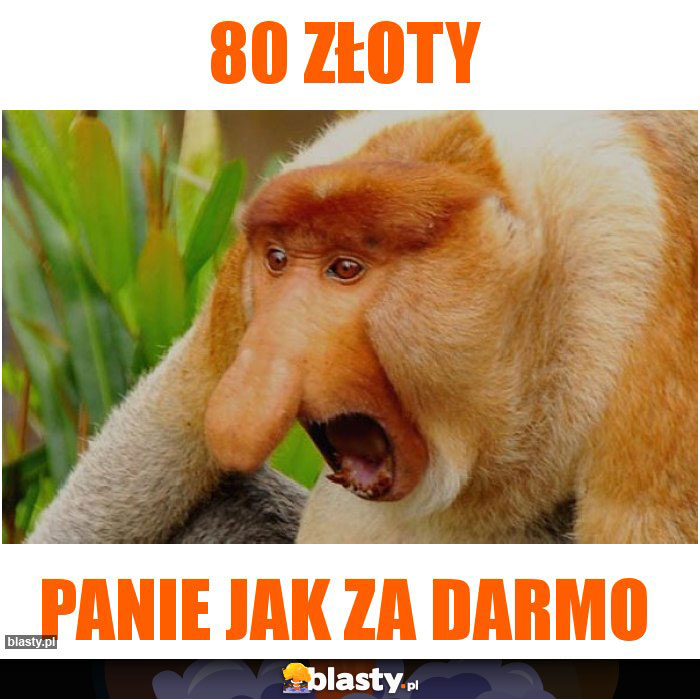 80 złoty