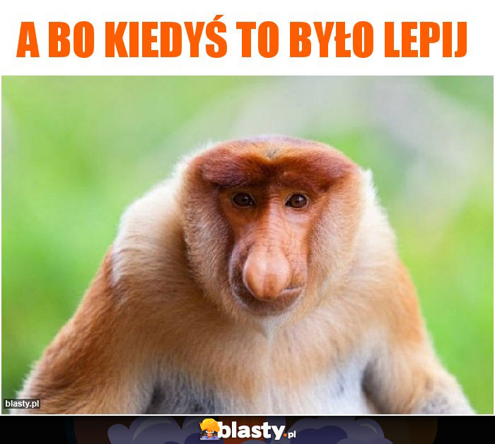 A bo kiedyś to było lepij