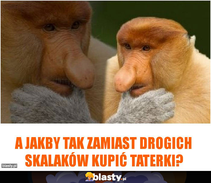 A jakby tak zamiast drogich skalaków kupić taterki?