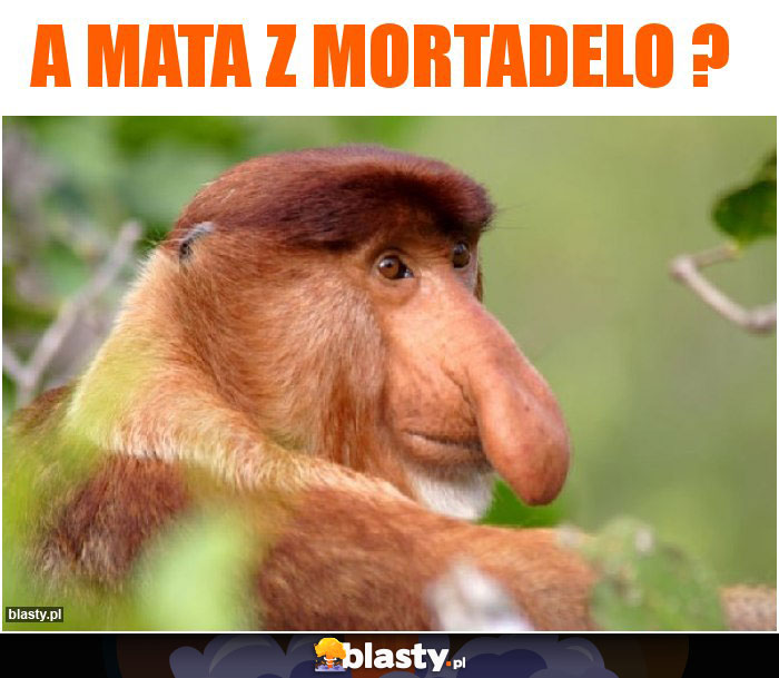 A MATA Z MORTADELO ?