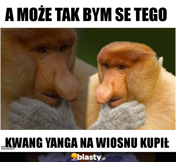 A może tak bym se tego