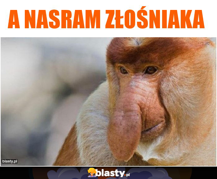 A nasram złośniaka
