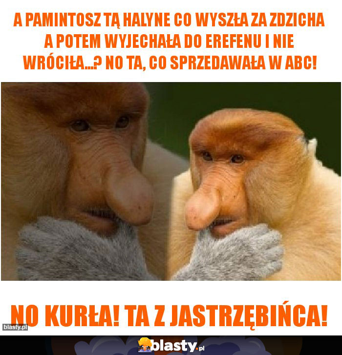 A pamintosz tą HALYNE co wyszła za zdzicha a potem wyjechała do erefenu i nie wróciła...? no ta, co sprzedawała w abc!