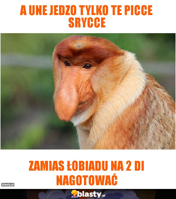 a une jedzo tylko te picce srycce