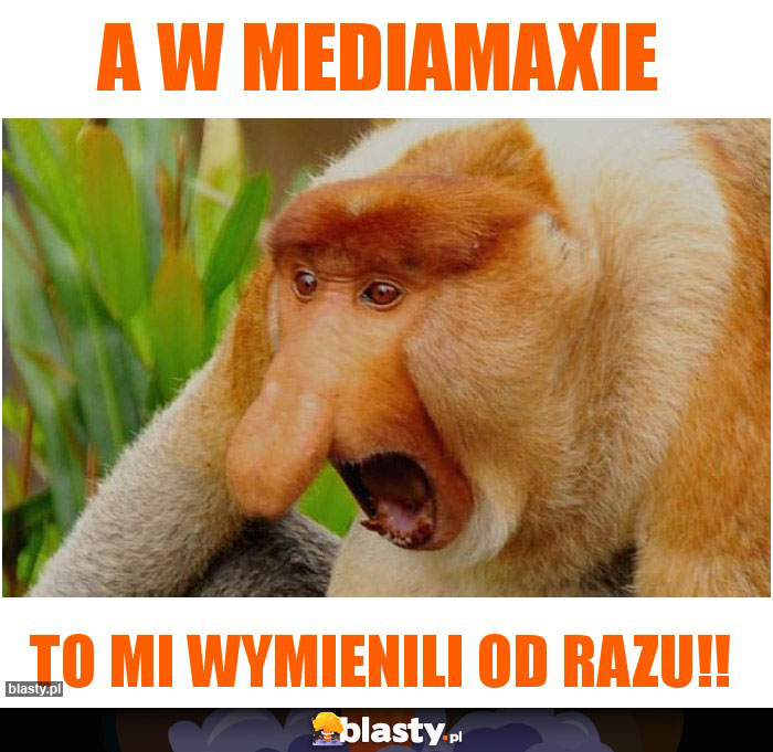 A w Mediamaxie