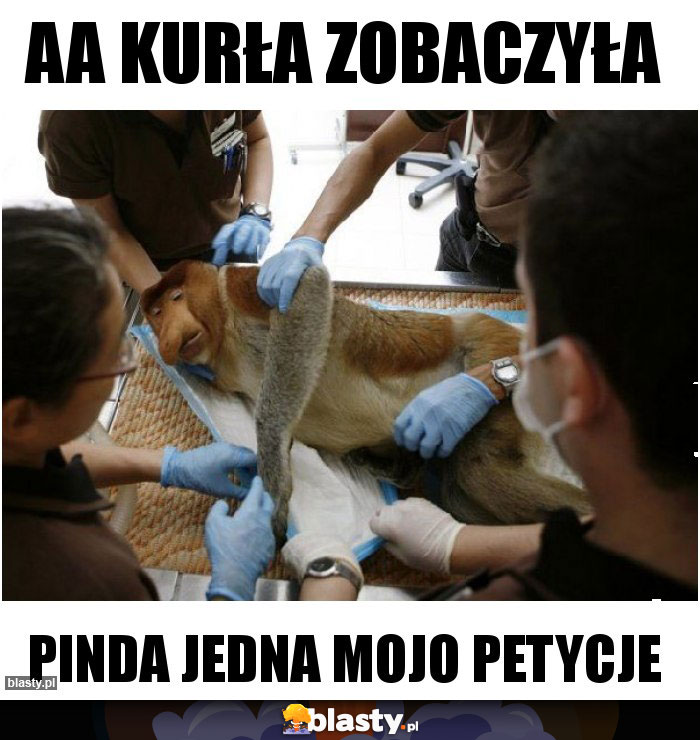 aa kurła zobaczyła