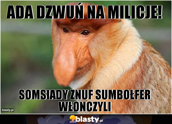 Ada dzwuń na milicje!