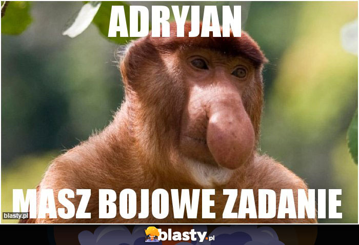 adryjan