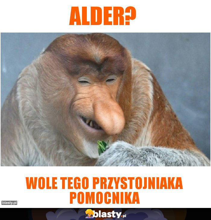 alder?