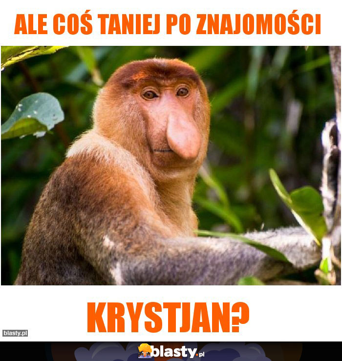 Ale coś taniej po znajomości