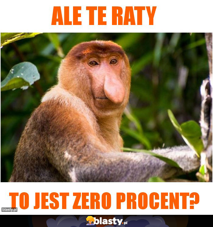 ALE TE RATY