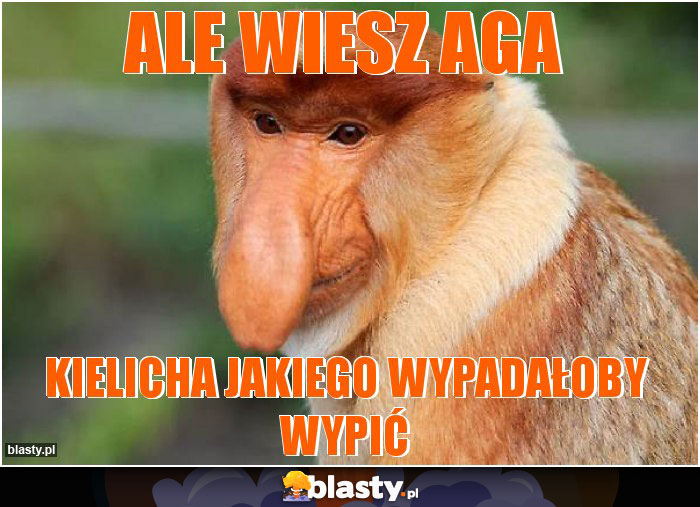 ale wiesz aga