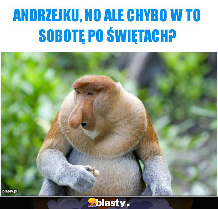 Andrzejku, no ale chybo w to sobotę po świętach?