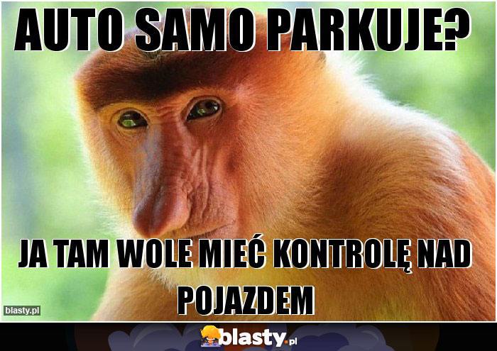 Auto samo parkuje?