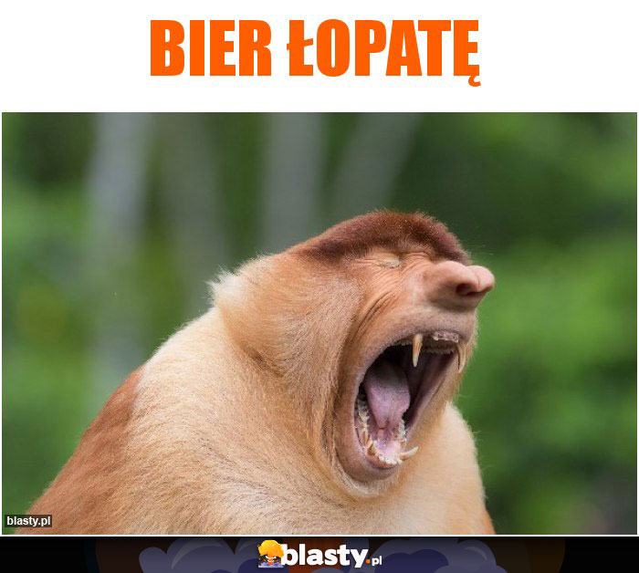 Bier łopatę