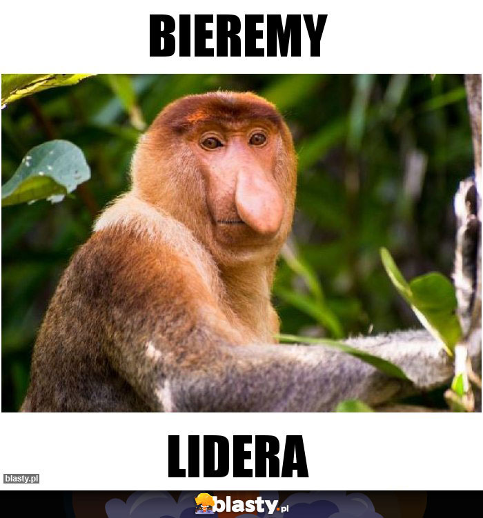 bieremy