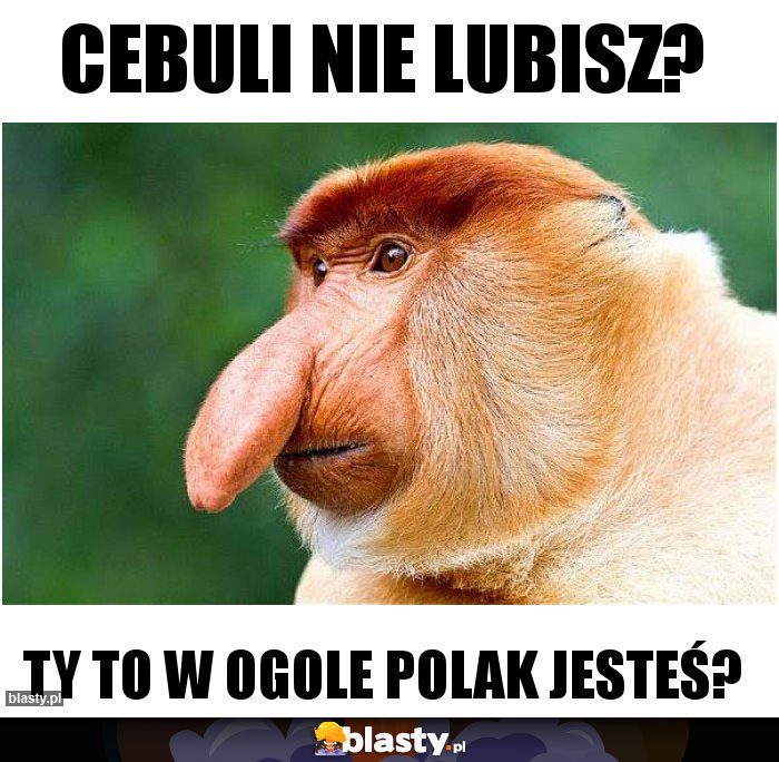 Cebuli nie lubisz?