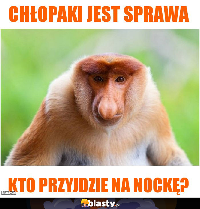 CHŁOPAKI JEST SPRAWA