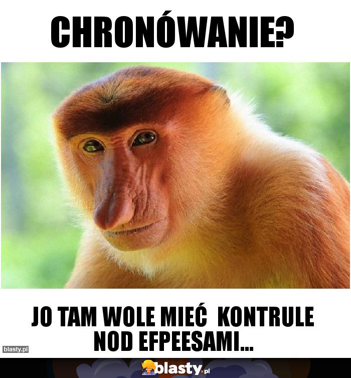 CHRONÓWANIE?