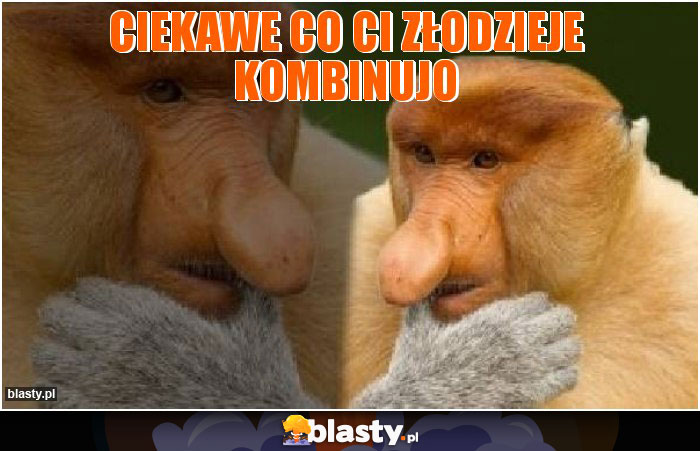 ciekawe co ci złodzieje kombinujo