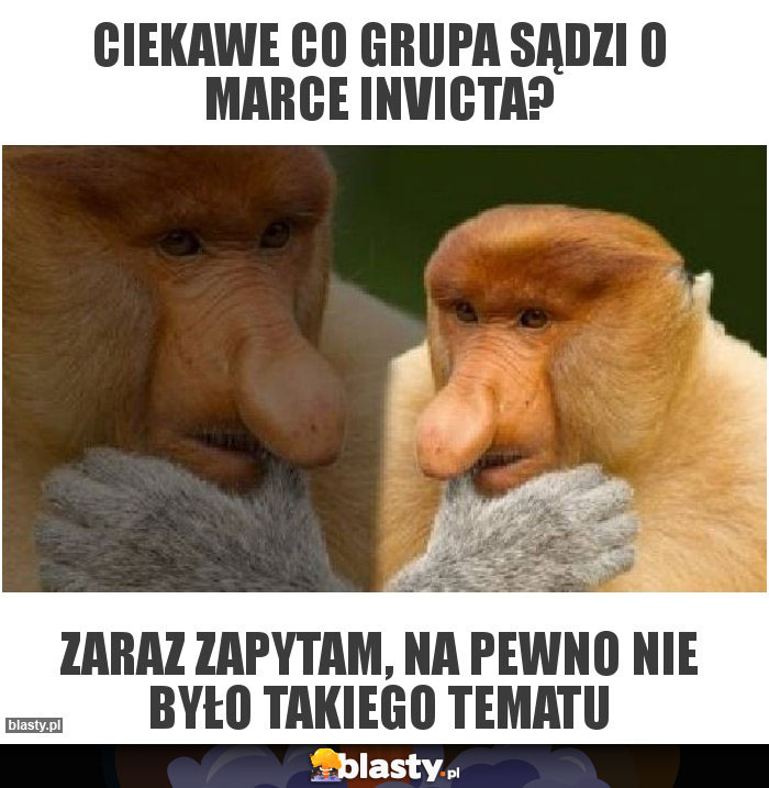 Ciekawe co grupa sądzi o marce Invicta?