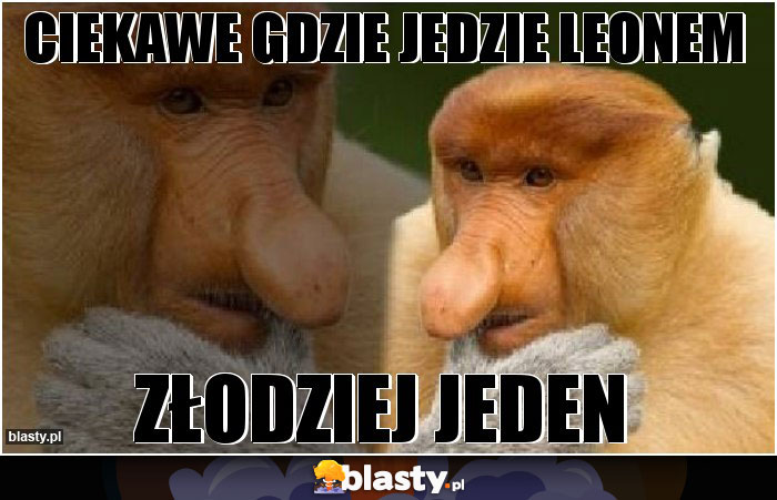 CIEKAWE GDZIE JEDZIE LEONEM