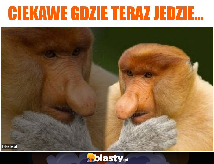 Ciekawe gdzie teraz jedzie...