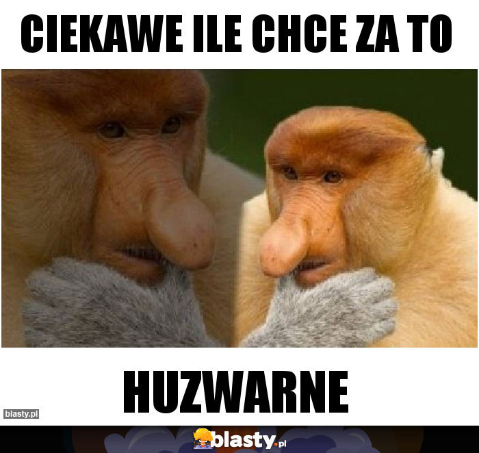 Ciekawe ile chce za to